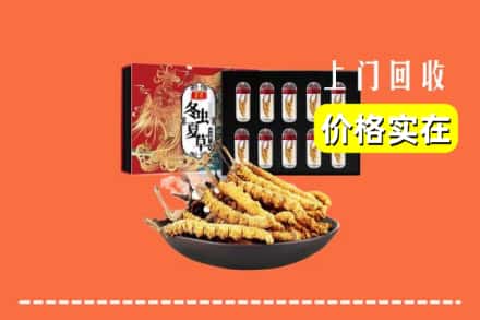 永靖县回收冬虫夏草