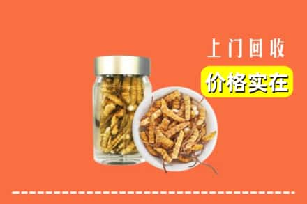 永靖县回收散虫草