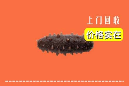 永靖县回收海参