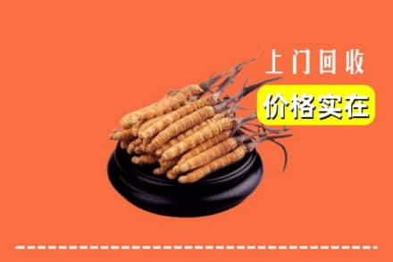 永靖县回收冬虫夏草